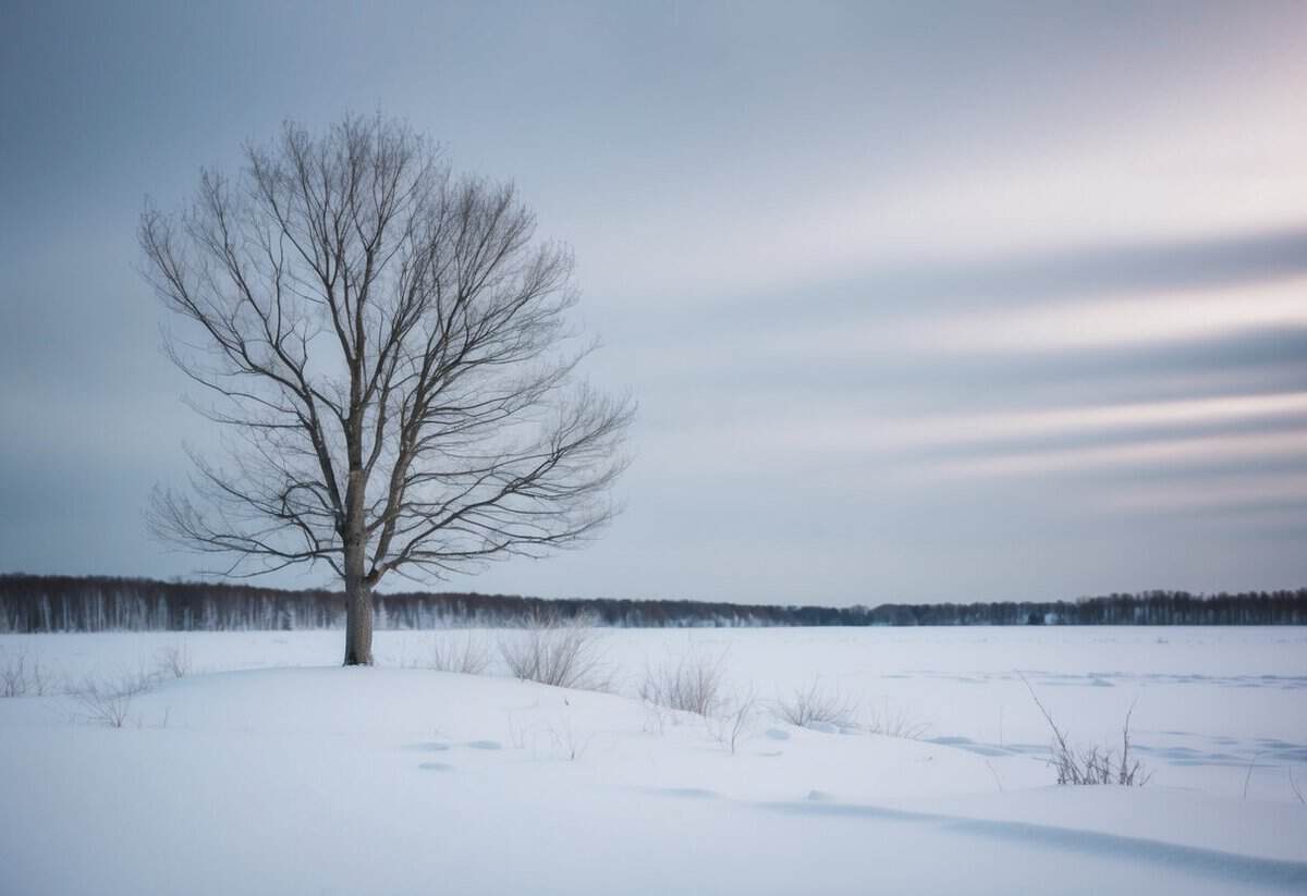 A barren, snow-covered landscape with a solitary tree, surrounded by a cold, gray sky